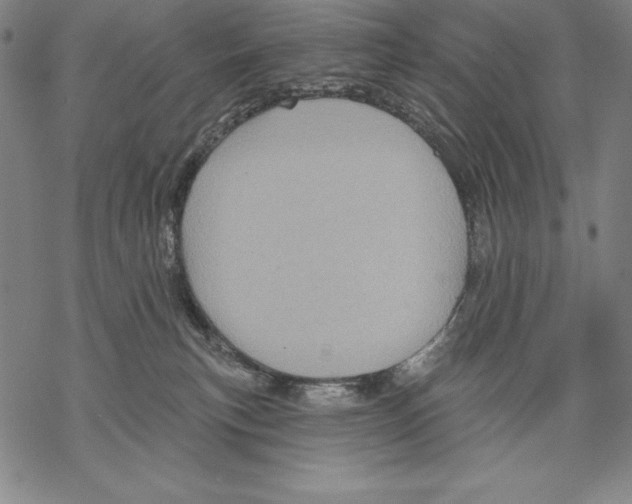 X0000067840183200605111652