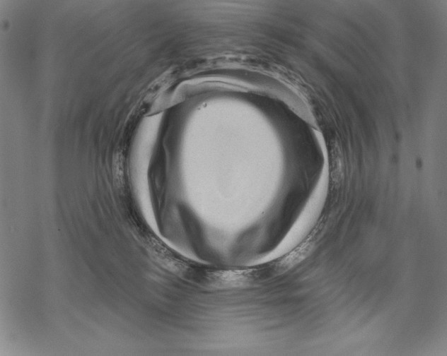 X0000067840184200605111652