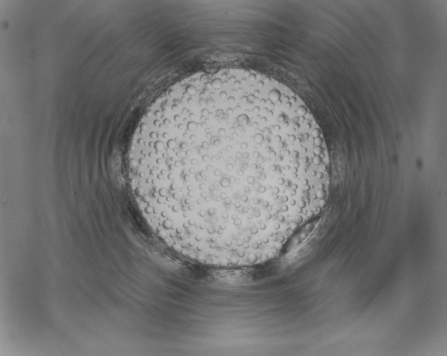 X0000067840187200605111652