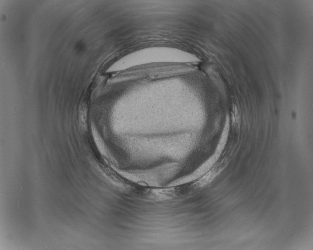 X0000067840188200605111652