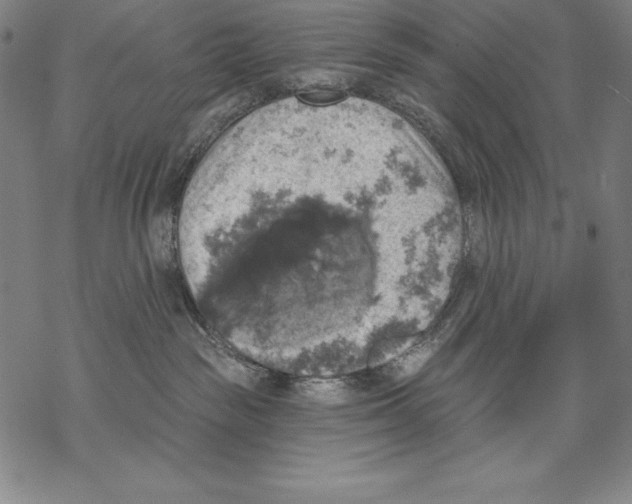 X0000067840189200605111652