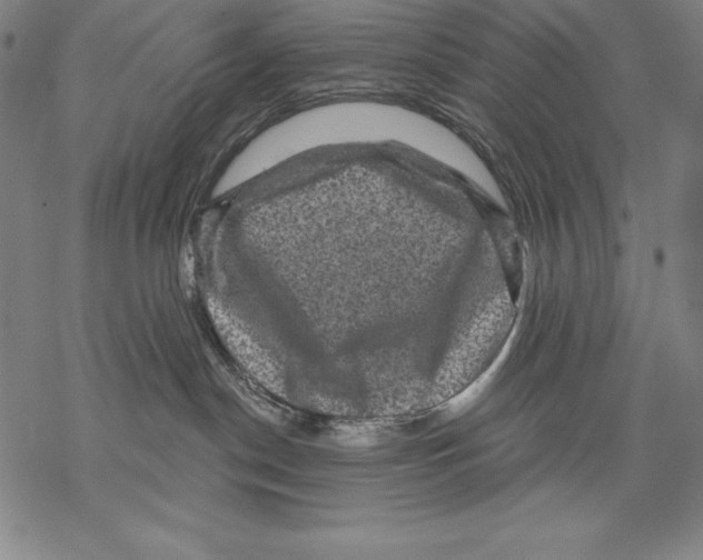 X0000067840190200605111652