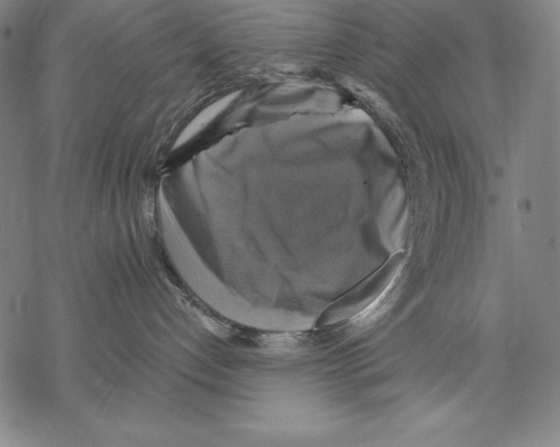 X0000067840192200605111652