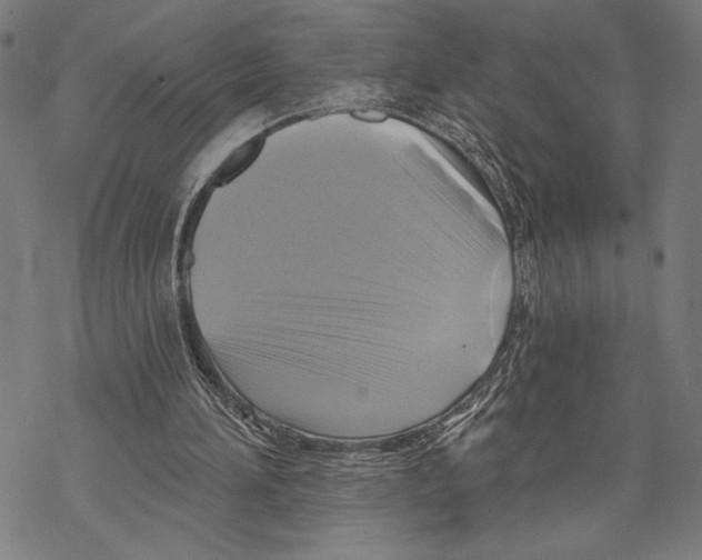 X0000067840196200605111651