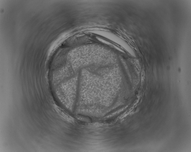 X0000067840197200605111651