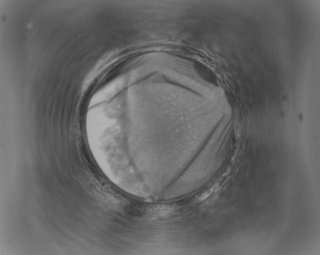 X0000067840198200605111651