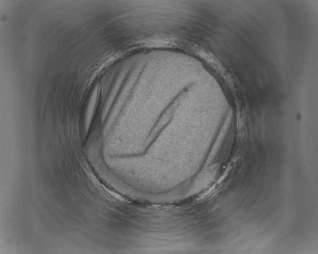 X0000067840201200605111651