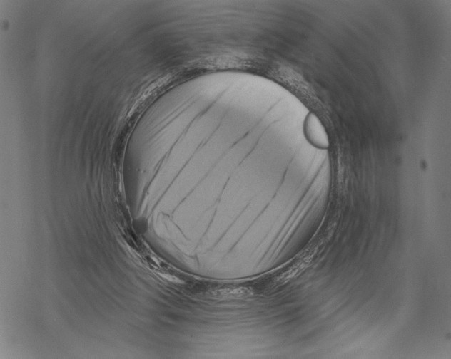 X0000067840202200605111651