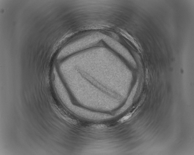 X0000067840203200605111651