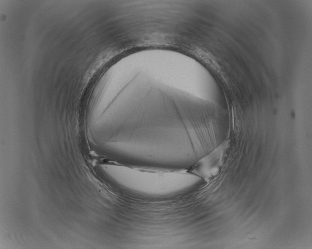 X0000067840204200605111651