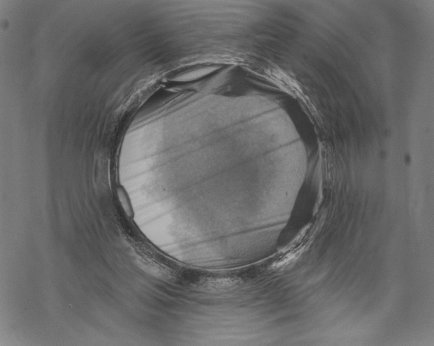 X0000067840205200605111651