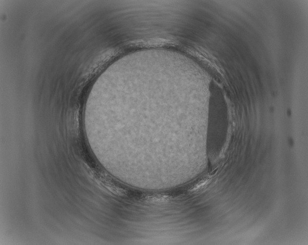 X0000067840206200605111651