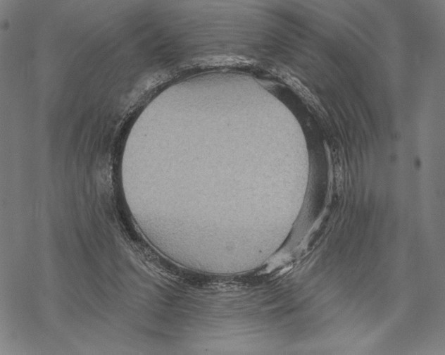 X0000067840207200605111651