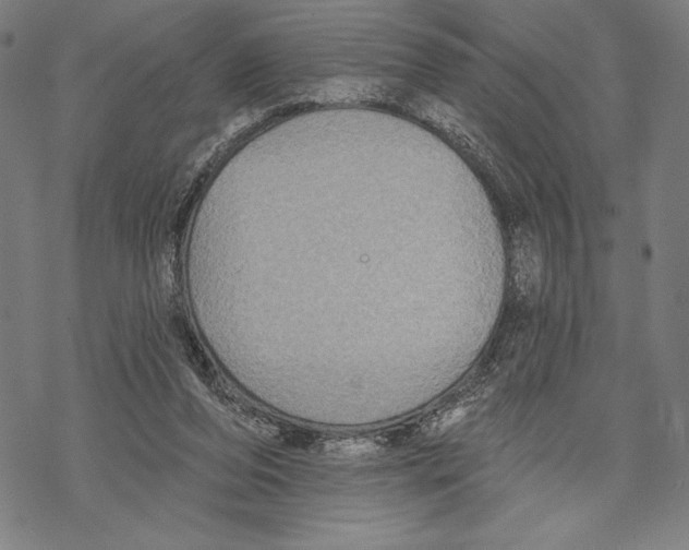 X0000067840208200605111651