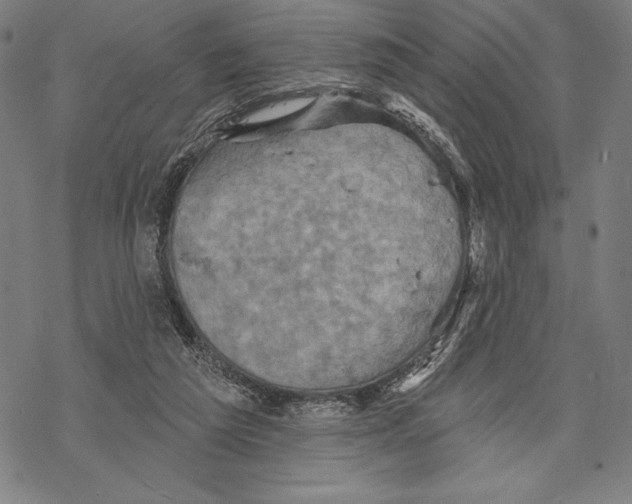 X0000067840209200605111651