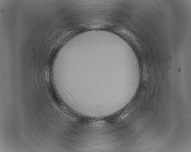 X0000067840210200605111651