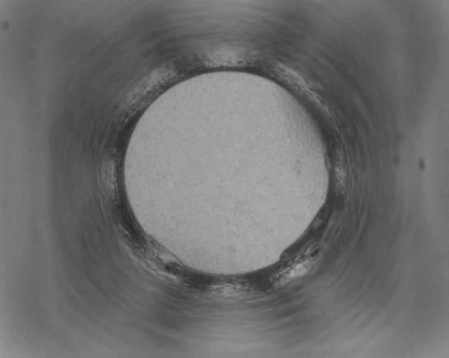 X0000067840211200605111651