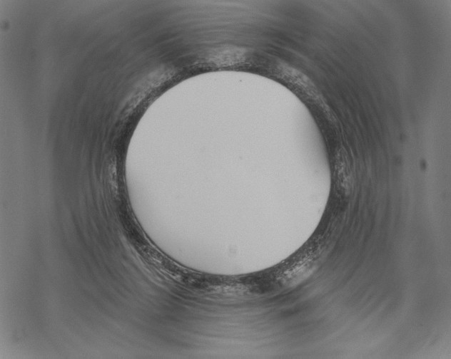 X0000067840212200605111651