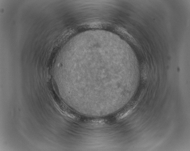 X0000067840213200605111651