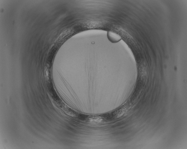 X0000067840214200605111651