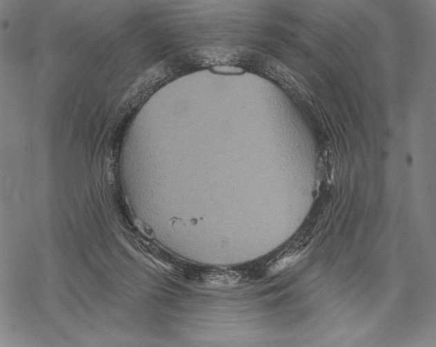 X0000067840215200605111651