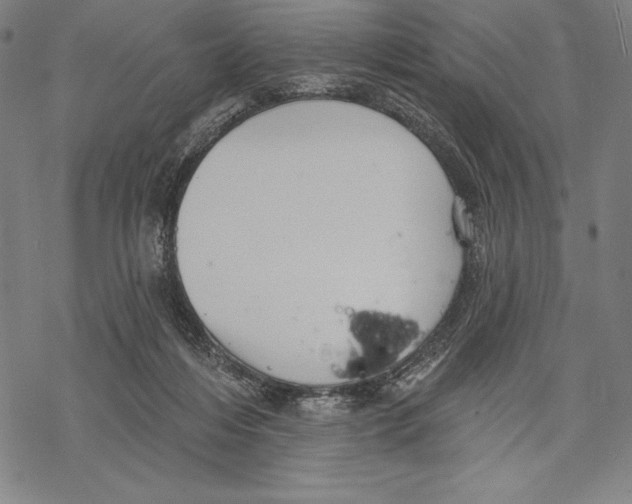 X0000067840216200605111651