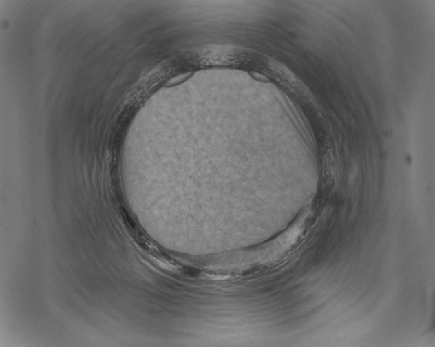 X0000067840217200605111651