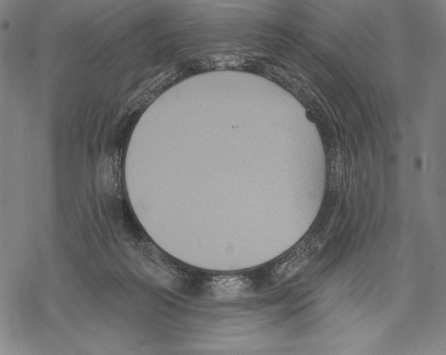 X0000067840218200605111651