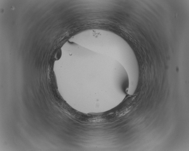 X0000067840219200605111651