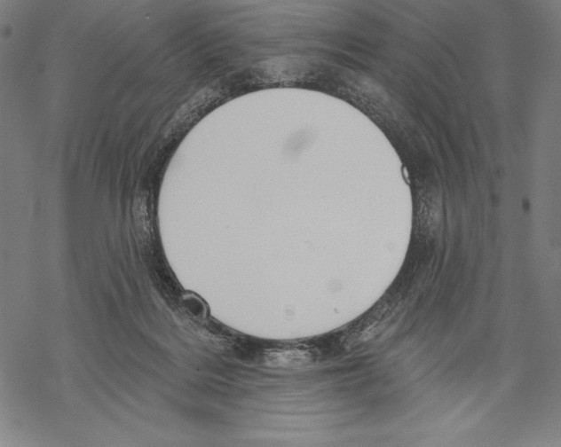 X0000067840220200605111651