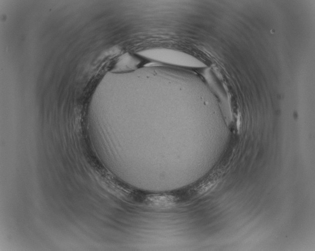 X0000067840221200605111651