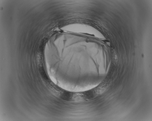 X0000067840222200605111651