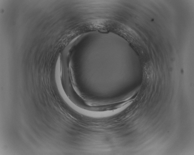 X0000067840223200605111651