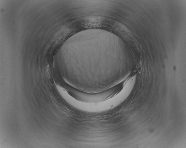 X0000067840224200605111651