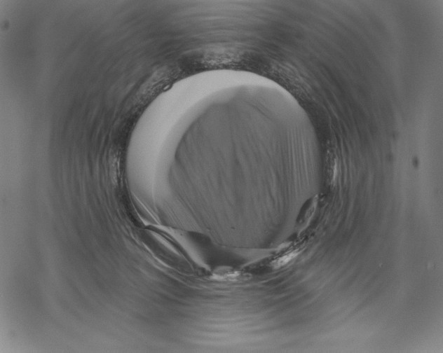 X0000067840227200605111650