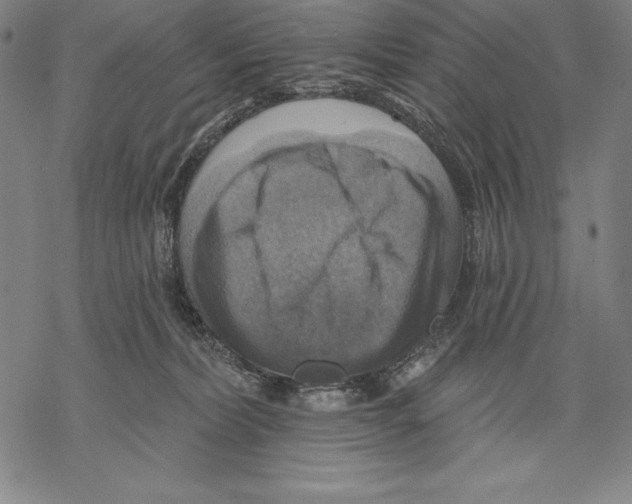 X0000067840228200605111650