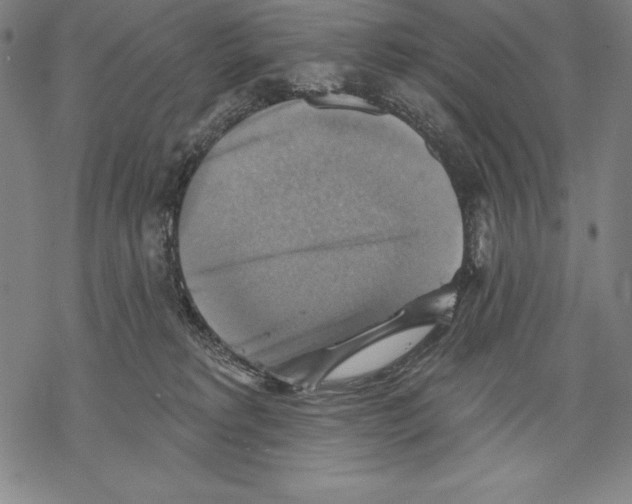 X0000067840229200605111650