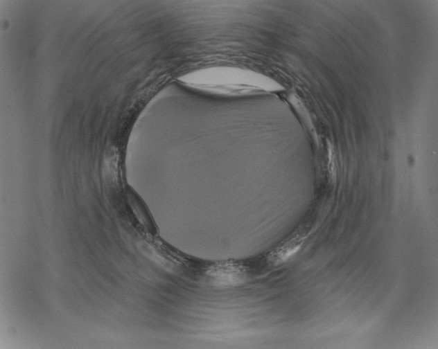 X0000067840231200605111650