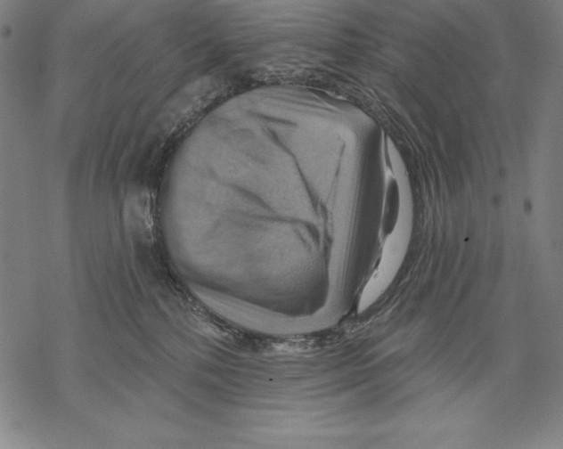 X0000067840232200605111650