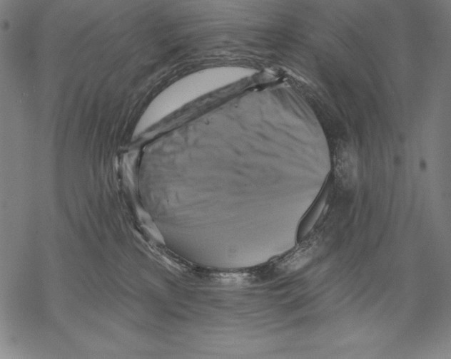 X0000067840233200605111650