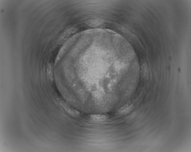 X0000067840234200605111650