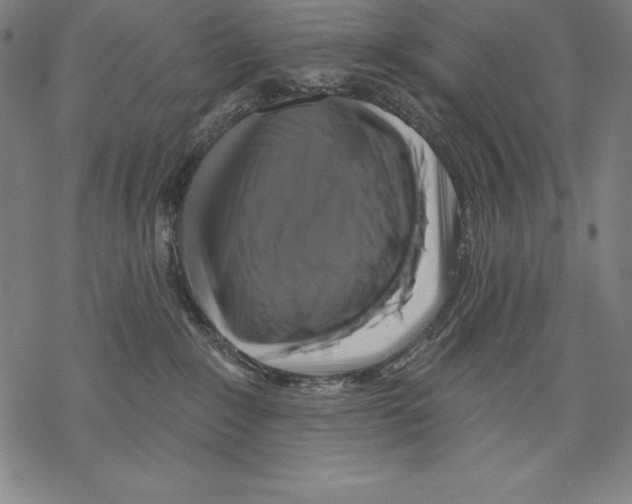 X0000067840235200605111650