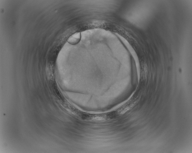 X0000067840236200605111650