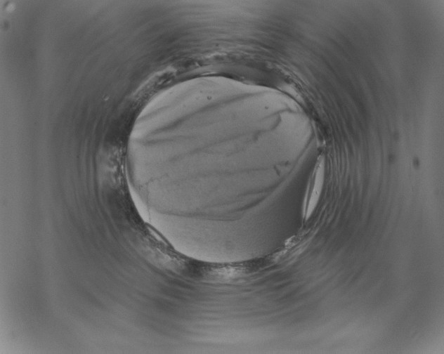 X0000067840237200605111650