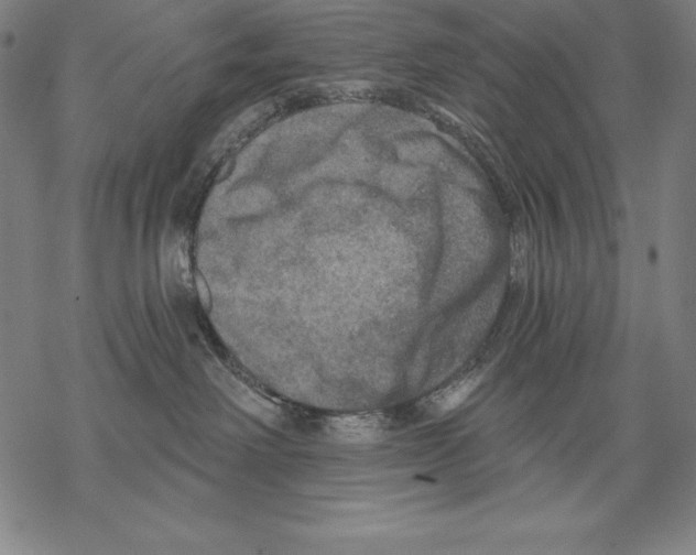 X0000067840238200605111650