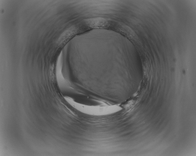 X0000067840239200605111650