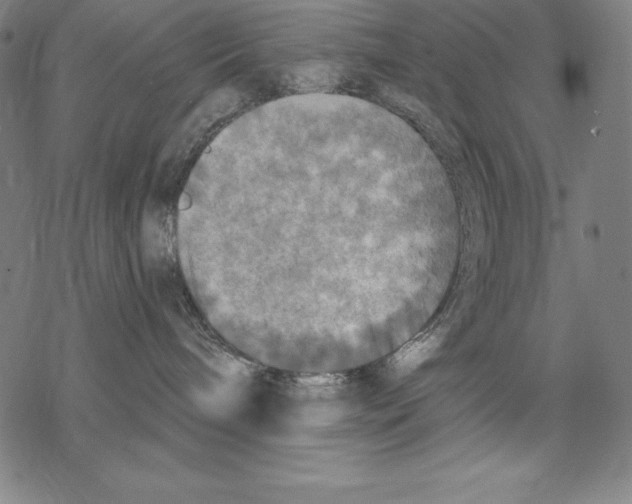 X0000067840240200605111650