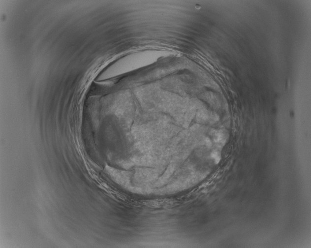 X0000067840241200605111650