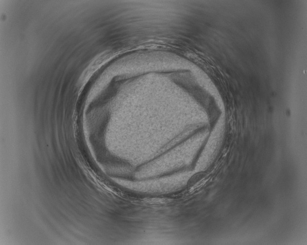 X0000067840242200605111650