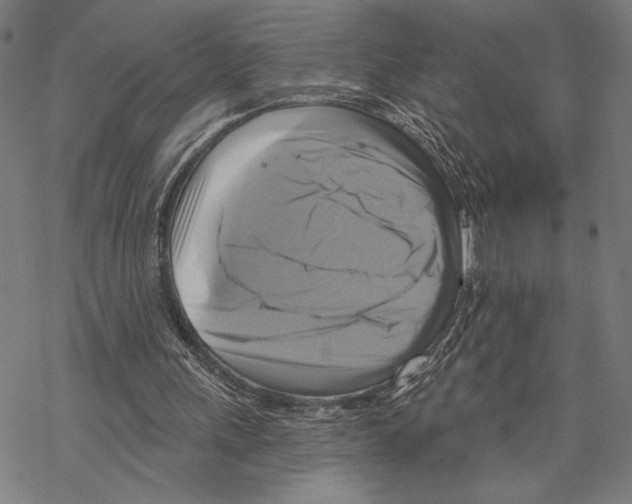 X0000067840243200605111650